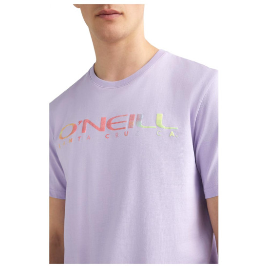 O'neill Ανδρική κοντομάνικη μπλούζα Sanborn T-Shirt